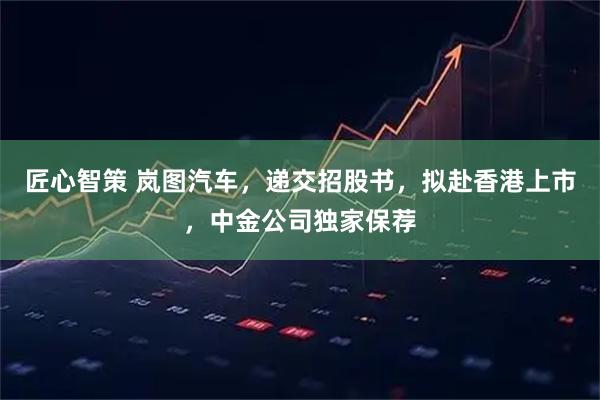 匠心智策 岚图汽车，递交招股书，拟赴香港上市，中金公司独家保荐