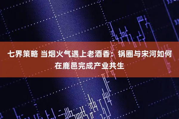七界策略 当烟火气遇上老酒香：锅圈与宋河如何在鹿邑完成产业共生