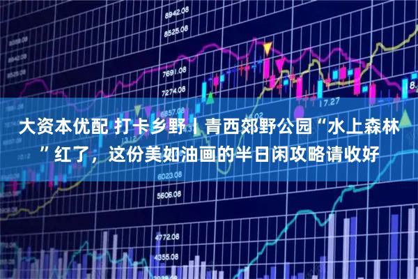 大资本优配 打卡乡野丨青西郊野公园“水上森林”红了，这份美如油画的半日闲攻略请收好