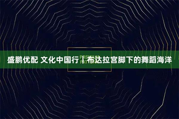 盛鹏优配 文化中国行｜布达拉宫脚下的舞蹈海洋