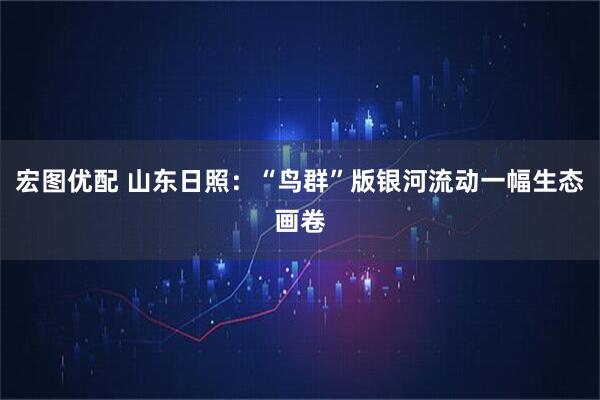 宏图优配 山东日照：“鸟群”版银河流动一幅生态画卷