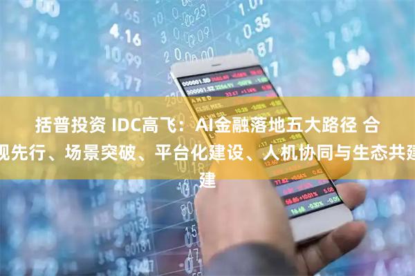 括普投资 IDC高飞：AI金融落地五大路径 合规先行、场景突破、平台化建设、人机协同与生态共建