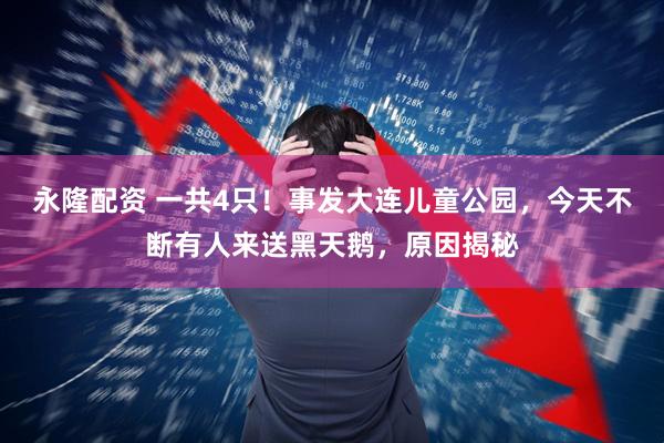 永隆配资 一共4只！事发大连儿童公园，今天不断有人来送黑天鹅，原因揭秘