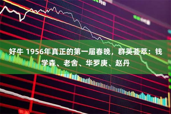 好牛 1956年真正的第一届春晚，群英荟萃：钱学森、老舍、华罗庚、赵丹